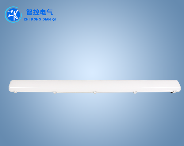 冷（lěng）库（kù）专用三防灯（50W）